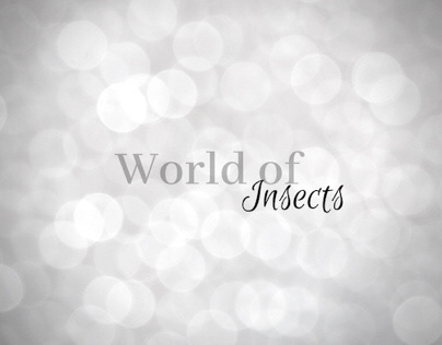 WORLD OF INSECTS ✖️