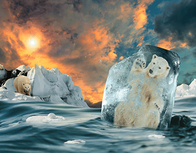 Crisis for Polar Bears 2