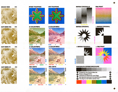 Risograph Color Chart & Reference Brochure