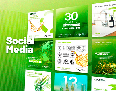 Project thumbnail - Social Media for Onix Chemical