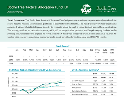 Fact Sheet Design for Bodhi Tree Financial Investment
