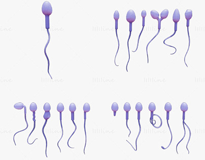 Sperm Morphology 3D Model: Normal and Abnormal