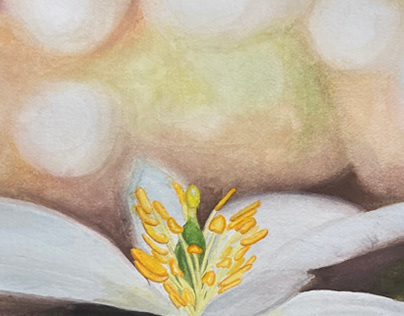 Gouache flower painting