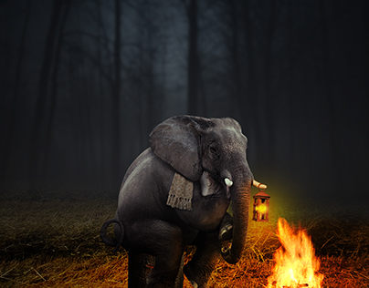 Elephant by the fire
