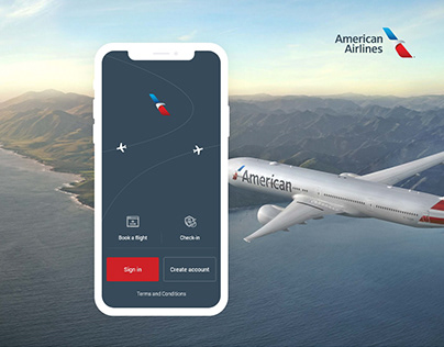 American Airlines concept
