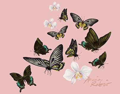 Anina x Viber - Butterfly Kisses