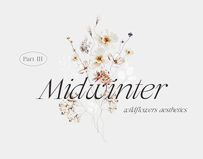MIDWINTER Winter Wildflowers Aesthetics