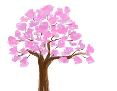 Tabebuia rosea (Pink Tree) Illustration