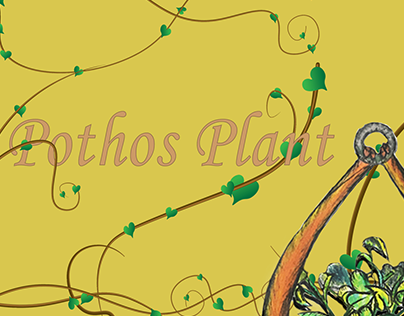 Pothos Plant