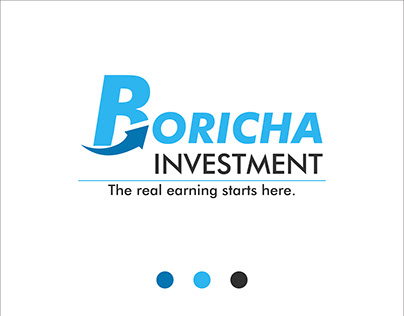 Boricha Investment Logo Design
