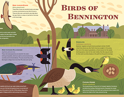 Project thumbnail - Birds of Bennington