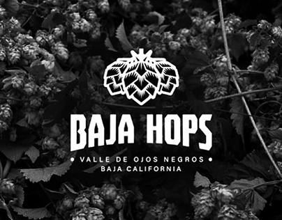 Logo Baja Hops
