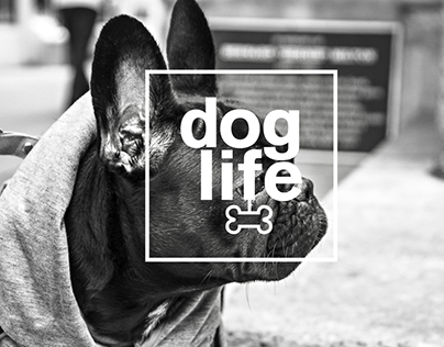 Dog life
