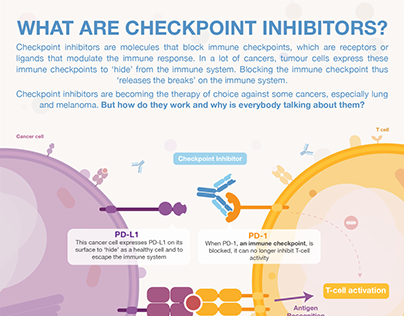 Infographic | What are checkpoint inhibitors?