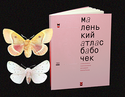 Little Butterfly Atlas / book design