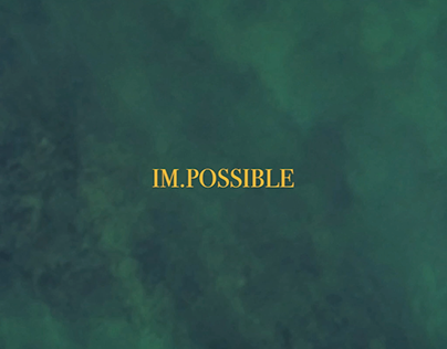 IM.POSSIBLE