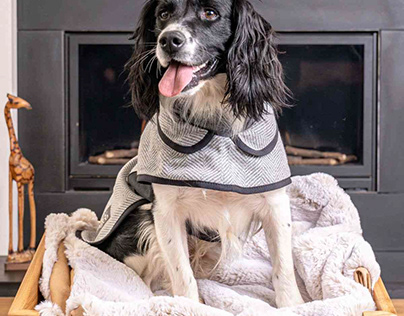 Buy Luxury Blankets for Dogs