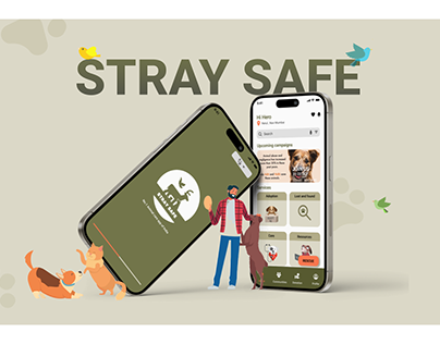 Creating a safe space for stray animals