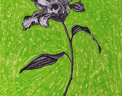 Flor ilustrada con técnica mixta