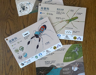 HONG KONG SPIDER CARDS