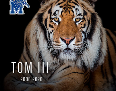 Memphis' live tiger mascot, TOM III, dies at 12