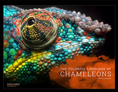 The Colorful Language of Chameleons - DPS