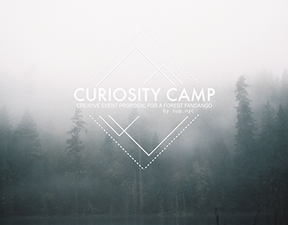 Curiosity Camp