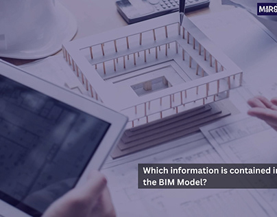 Which information is contained in the BIM Model?