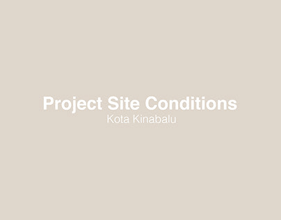 Project site conditions