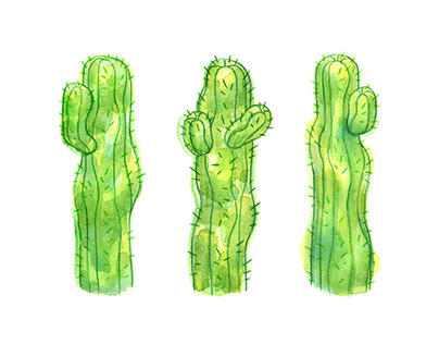 Green Cacti Watercolor