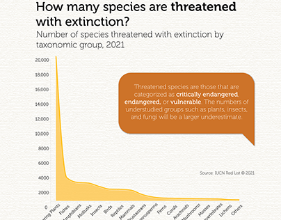 Endangered Species Infographic