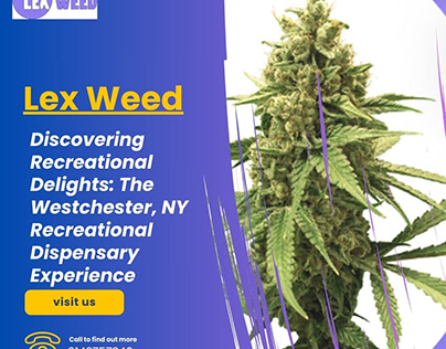 The Westchester, NY Recreational Dispensary Experience