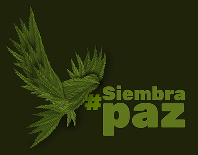 Siembra Paz, campaña ilustrada