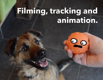 Filming, tracking and animation // Brownie