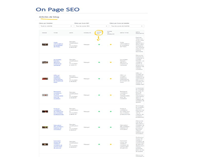 Monthly On-Page SEO