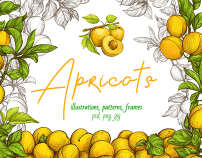 Apricots collection