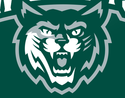 Wildcats Sports Logo For Sale