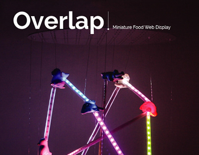 Overlap - Interactive Installation