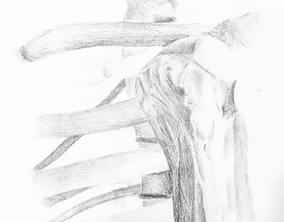 skeleton pencil drawing
