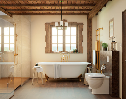 Rustic bathroom / Interior Design