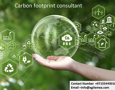 Carbon footprint consultant