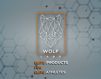 Wolf Labs (Logo Design & Brand Identity)