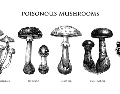 Poisonous mushrooms sketches set.