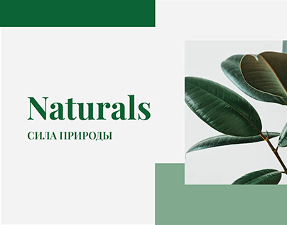 Упаковка для бренда Naturals