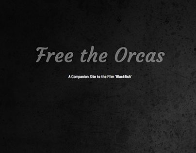 Free the Orcas