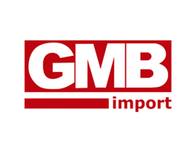 Social Media Gmb Import