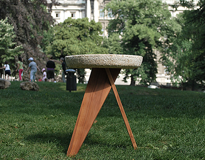 Shiro: a mushroom based stool