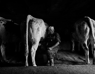 GIOVALE CHEESE - Food Reportage