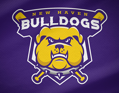 New Haven Bulldogs - Rebrand