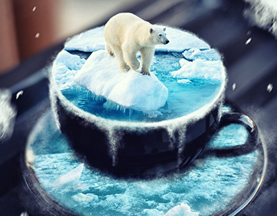 Cup polar bear | manipulation